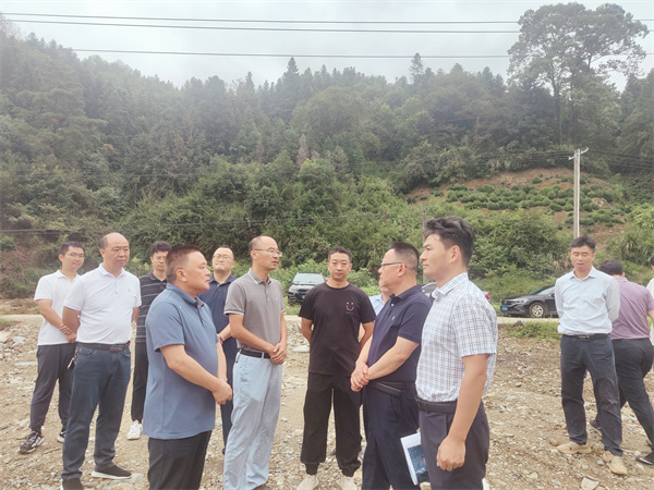 10月1日，洪董，余總陪同汪凱書記一行到紹濂鄉(xiāng)清溪村調(diào)研.jpg